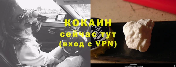 ГАЛЛЮЦИНОГЕННЫЕ ГРИБЫ Магас