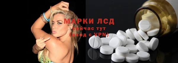 ГАЛЛЮЦИНОГЕННЫЕ ГРИБЫ Магас