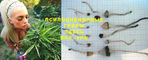 ГАЛЛЮЦИНОГЕННЫЕ ГРИБЫ Майский