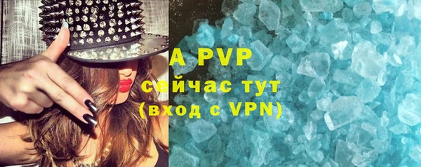 индика Липки